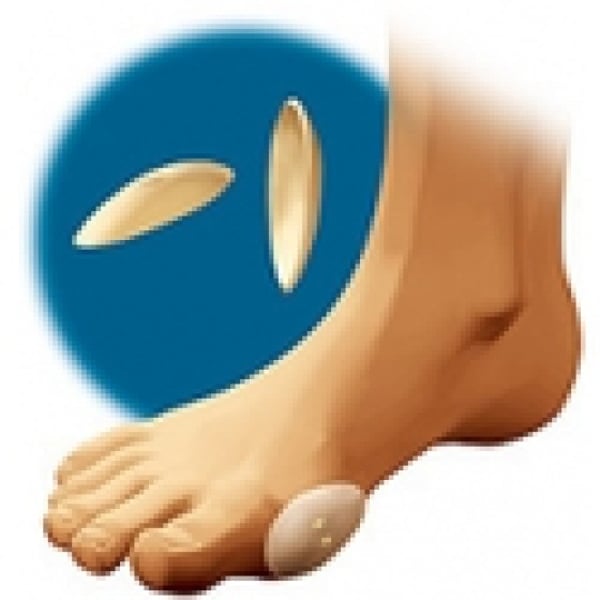 6214197-ccs.webp
